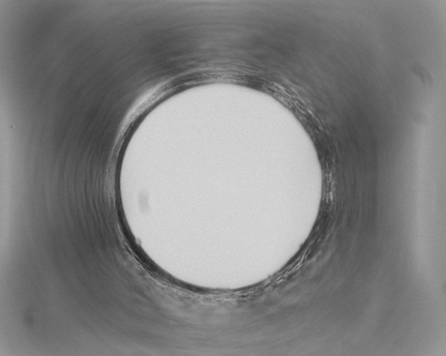 X0000115430004200912020934