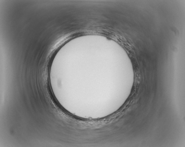 X0000115430005200912020934