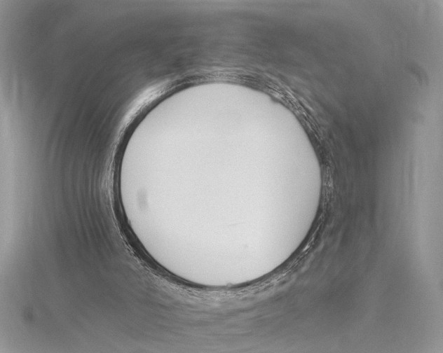 X0000115430006200912020934