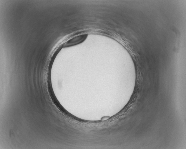 X0000115430007200912020934