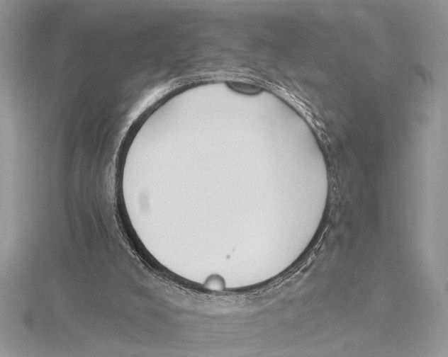 X0000115430008200912020934