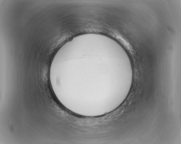 X0000115430009200912020934