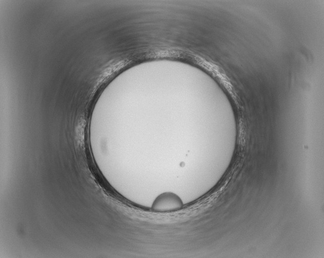 X0000115430010200912020934