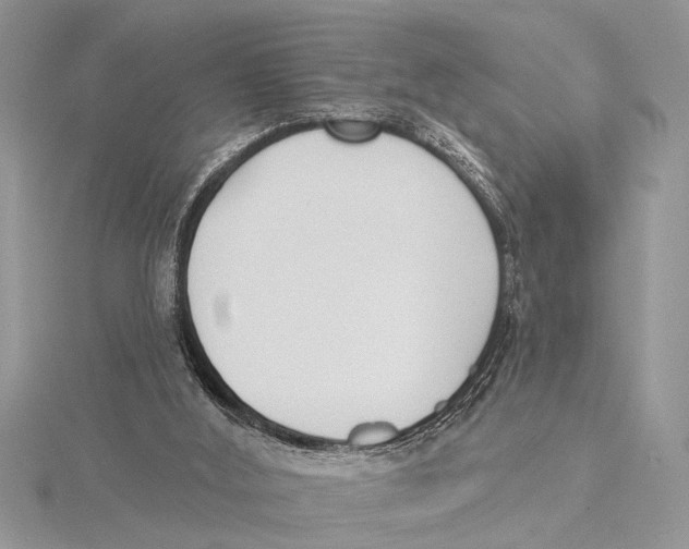 X0000115430012200912020934