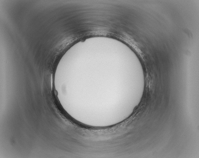 X0000115430013200912020934