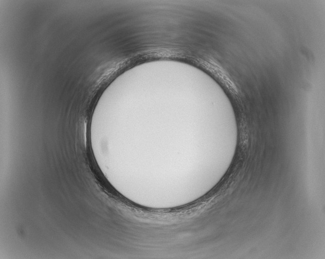 X0000115430014200912020934