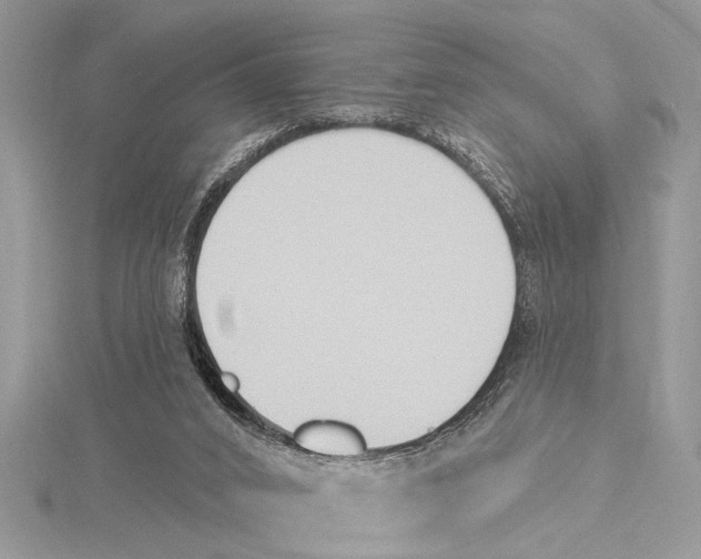 X0000115430016200912020934