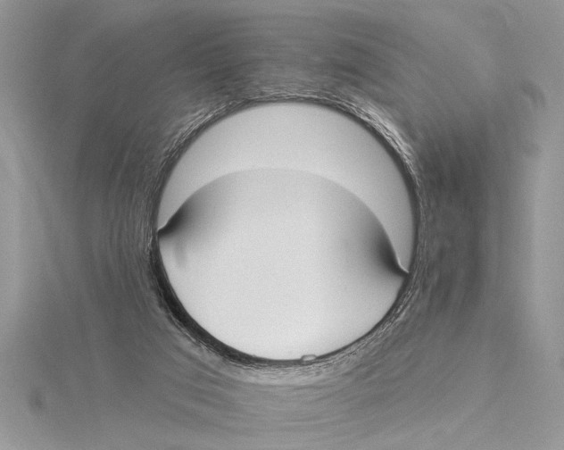 X0000115430017200912020934