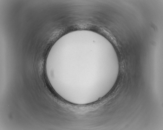 X0000115430018200912020934