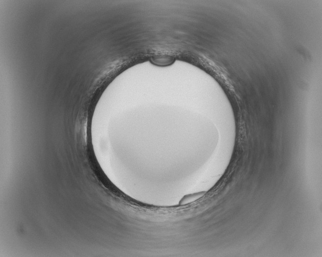 X0000115430019200912020934