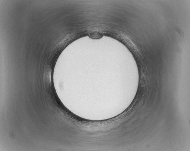 X0000115430021200912020934