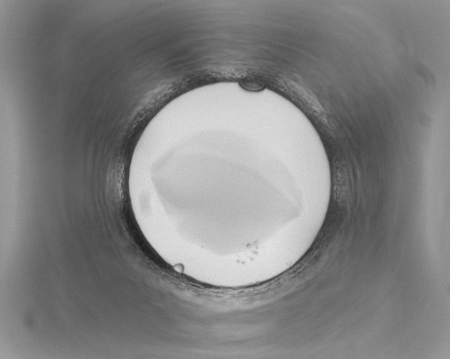 X0000115430023200912020934