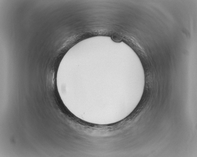 X0000115430024200912020933