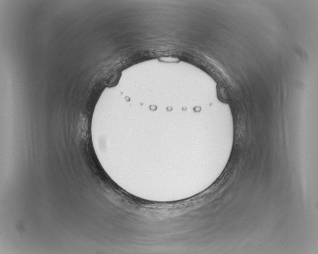 X0000115430025200912020933