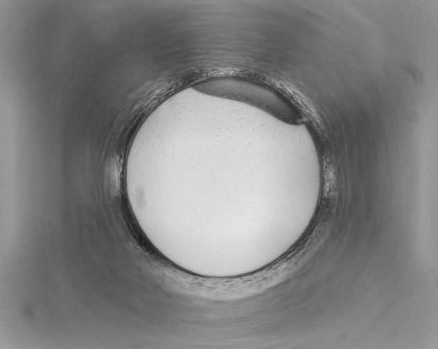 X0000115430026200912020933