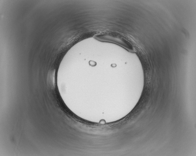 X0000115430028200912020933