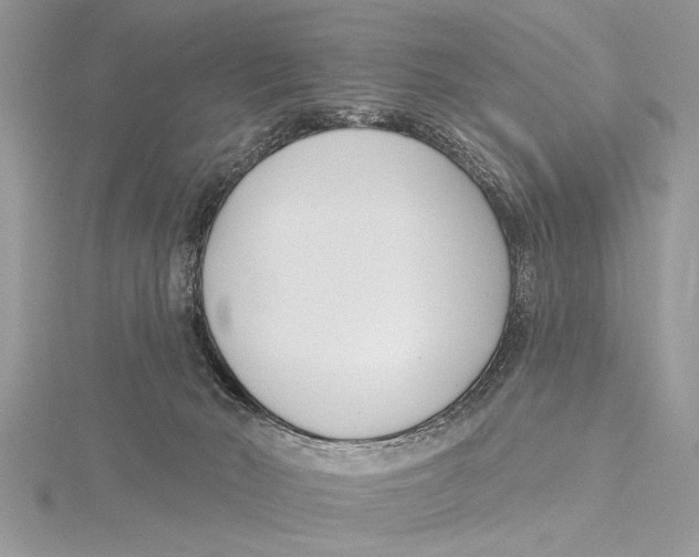 X0000115430030200912020933