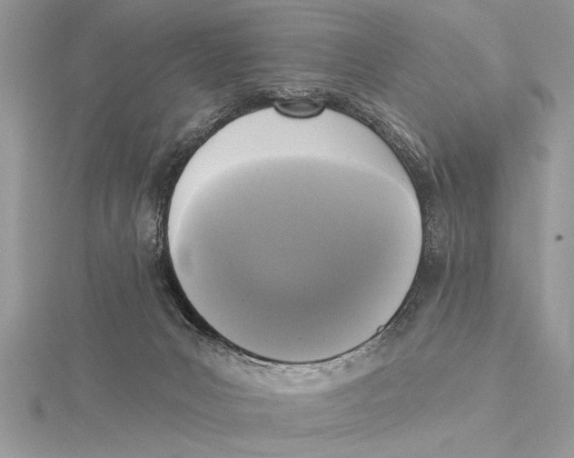 X0000115430031200912020933