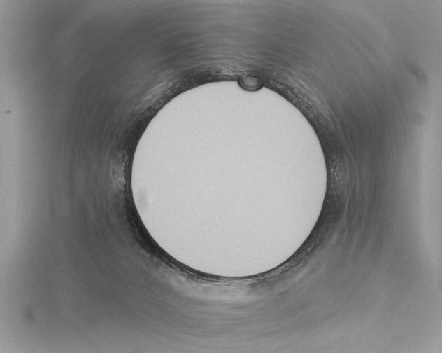 X0000115430032200912020933