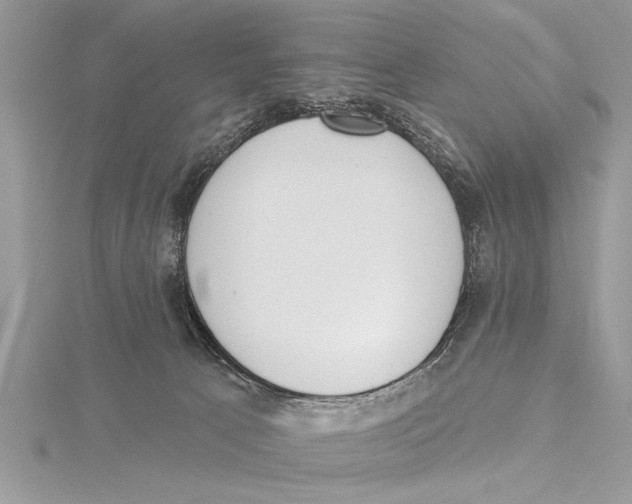 X0000115430033200912020933