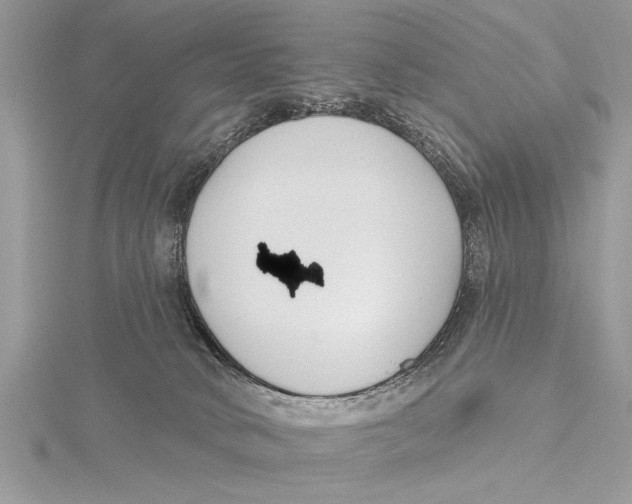 X0000115430034200912020933