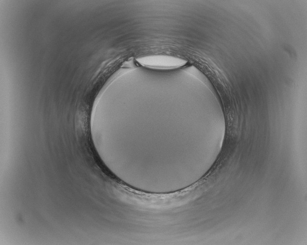 X0000115430035200912020933