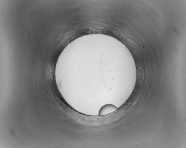 X0000115430038200912020933