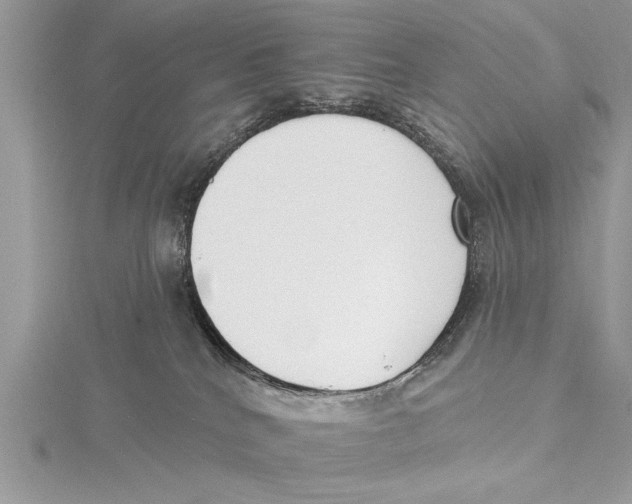 X0000115430040200912020933