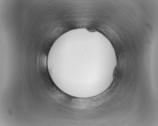 X0000115430041200912020933