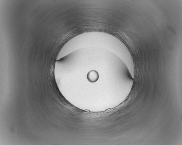 X0000115430045200912020933