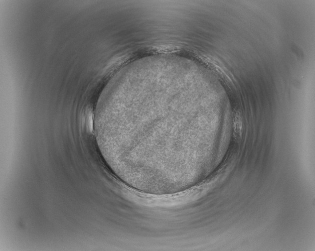 X0000115430046200912020933