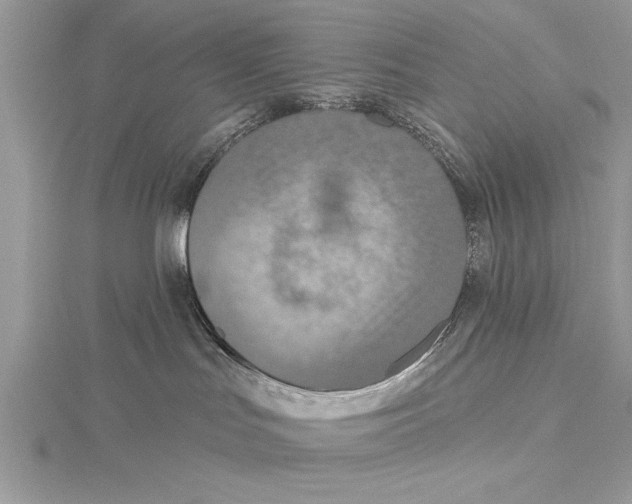 X0000115430047200912020933