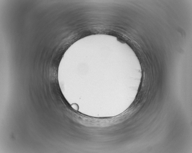 X0000115430048200912020933