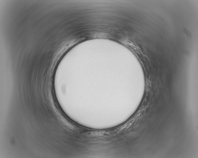 X0000115430049200912020932