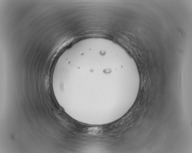 X0000115430050200912020932