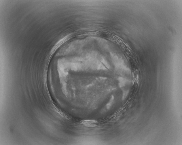 X0000115430051200912020932