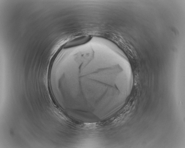 X0000115430052200912020932