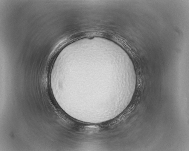 X0000115430053200912020932