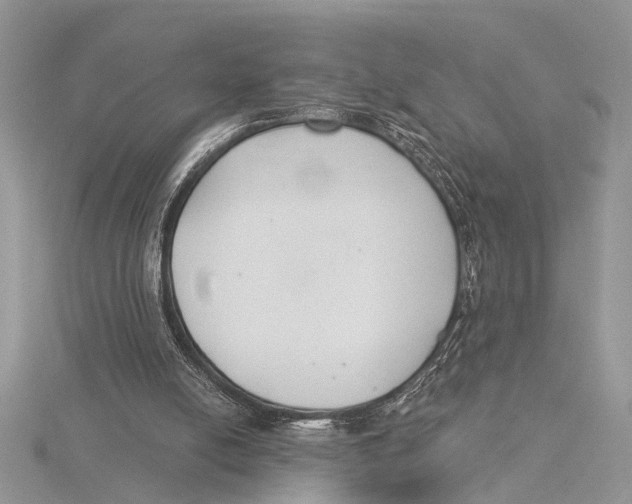 X0000115430054200912020932