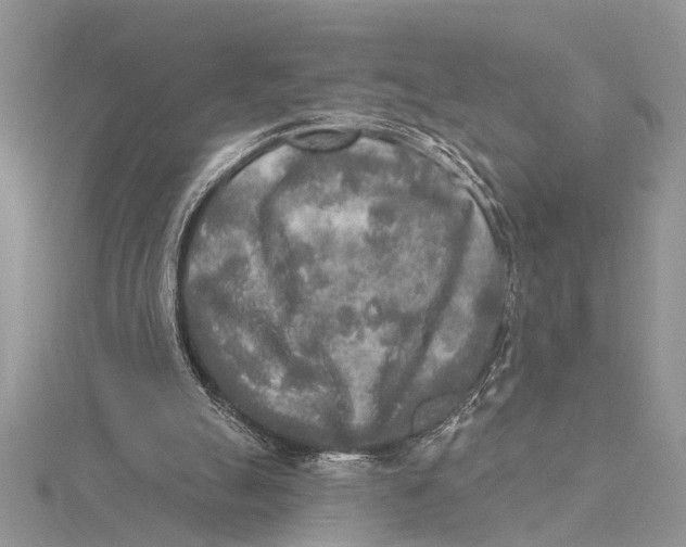 X0000115430055200912020932