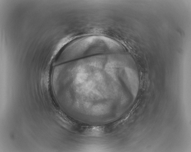 X0000115430056200912020932