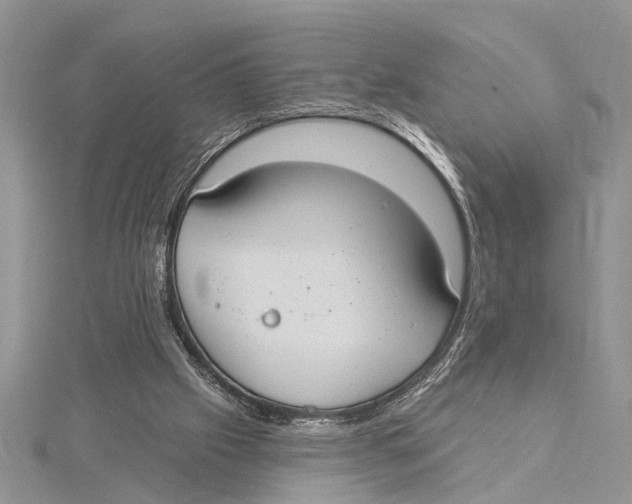 X0000115430057200912020933