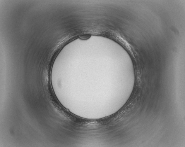 X0000115430059200912020933