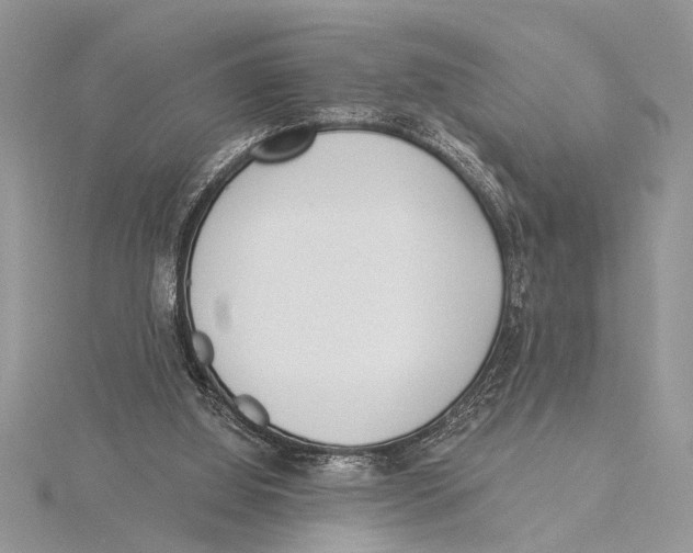 X0000115430060200912020933