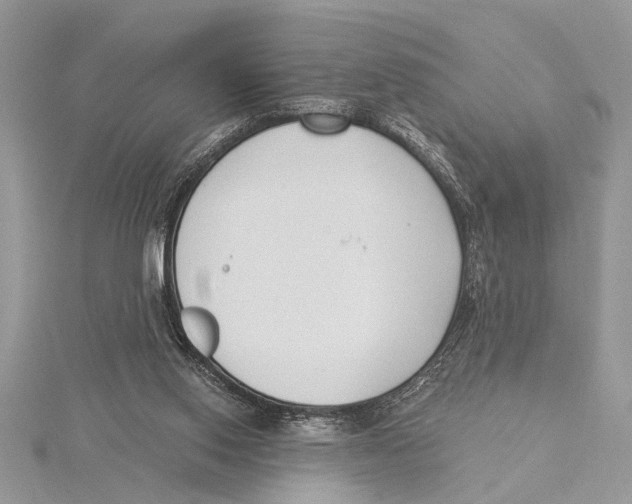 X0000115430062200912020933