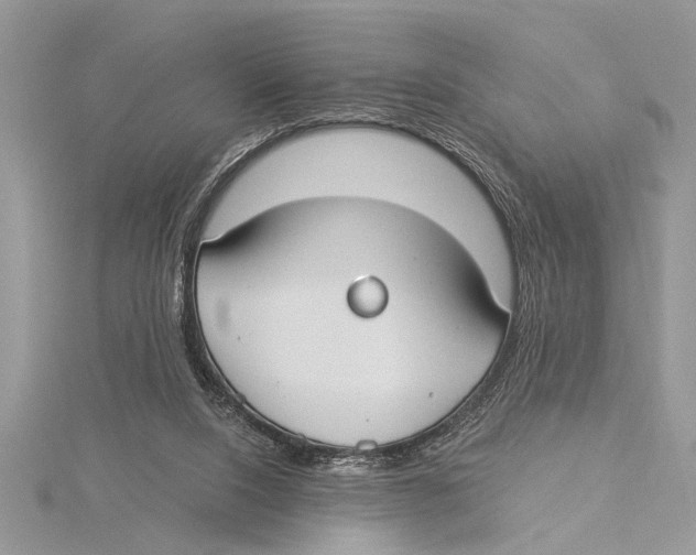 X0000115430064200912020933