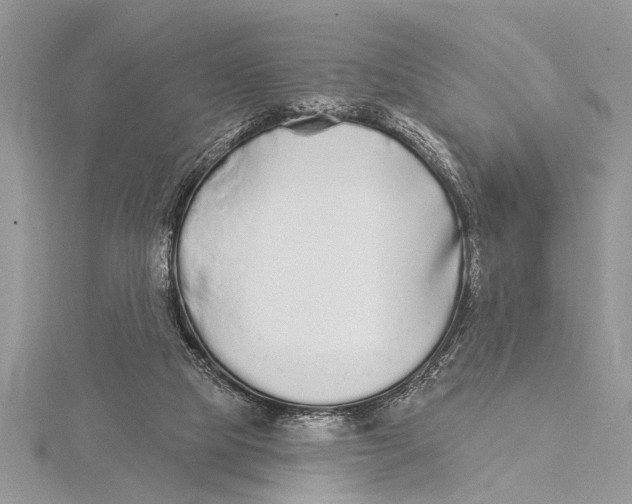 X0000115430065200912020933