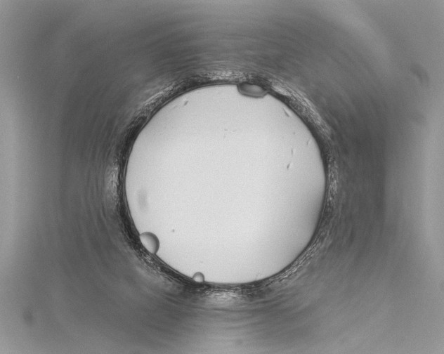 X0000115430066200912020933