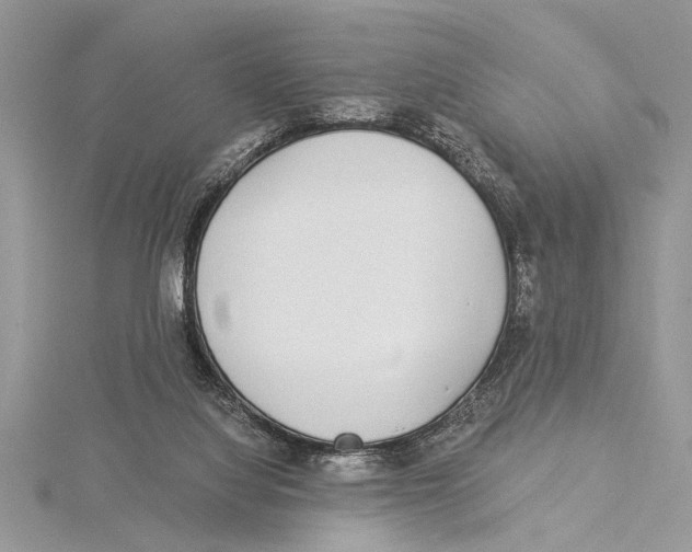 X0000115430068200912020933