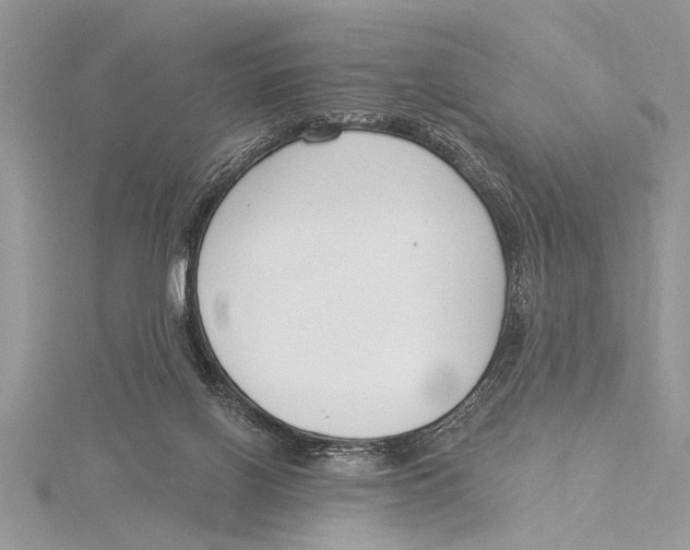 X0000115430070200912020933